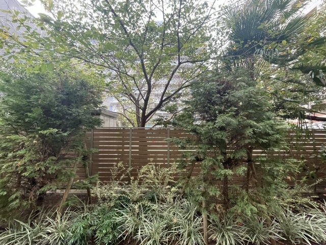 春日野道駅 徒歩2分 1階の物件内観写真