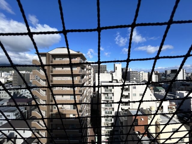 兵庫駅 徒歩4分 11階の物件内観写真