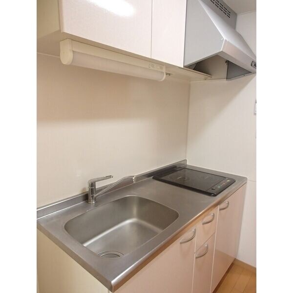 レーベンス柏木の物件内観写真