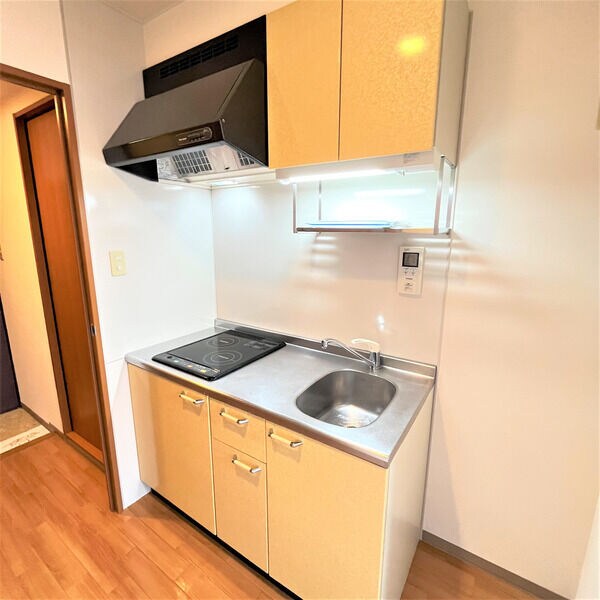 アンソレイユ河原町の物件内観写真