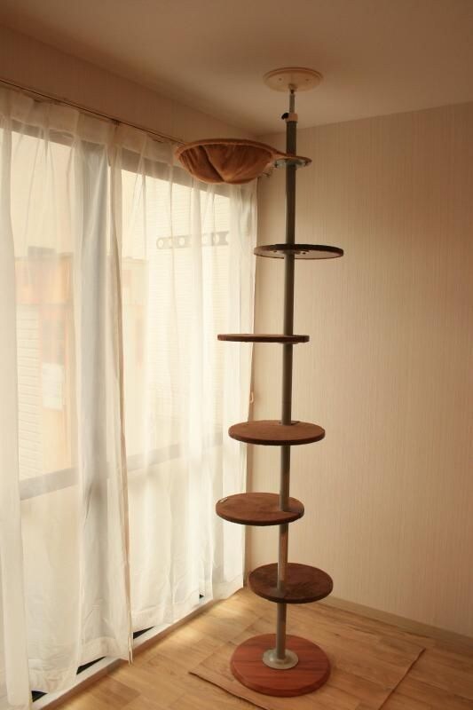 ベネッセ滝道の物件内観写真