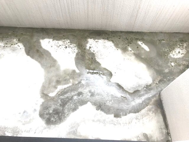 ベルシティ五橋の物件内観写真