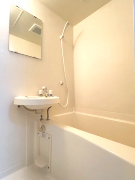 バーシティハウス泉Ａの物件内観写真