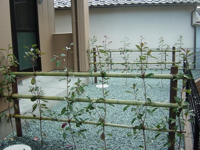 プロニティ・Nの物件内観写真