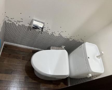 ヴィアーレ木ノ下二丁目の物件内観写真