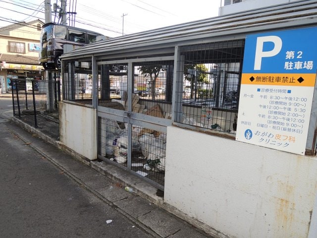 泉中央駅 徒歩6分 4階の物件内観写真