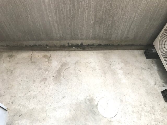 ベルビュー支倉の物件内観写真