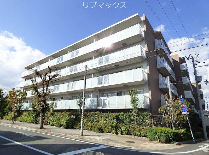 甲子園駅 徒歩6分 1階の物件外観写真