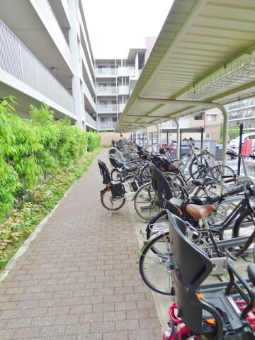 甲子園駅 徒歩10分 3階の物件内観写真