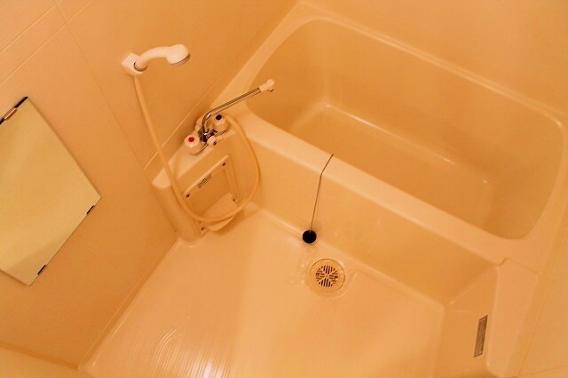 ルッシェ竹下駅前の物件内観写真