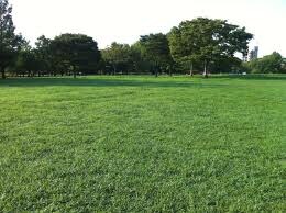 エルヴィータ箱崎の物件外観写真