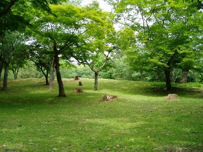 willDo中洲の物件外観写真