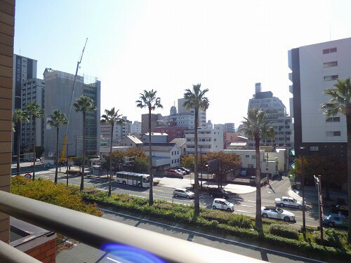 サヴォイザ・パームストリートの物件内観写真