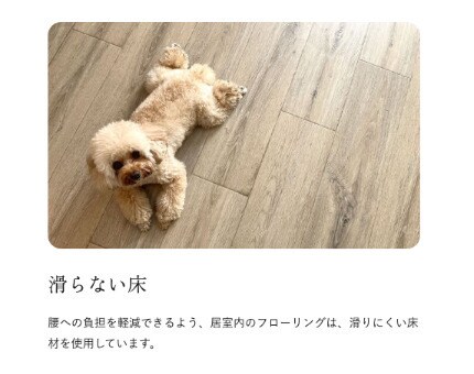 quador Contigo 高宮の物件内観写真