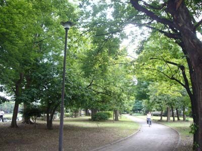 エンクレストNEO博多駅南の物件外観写真