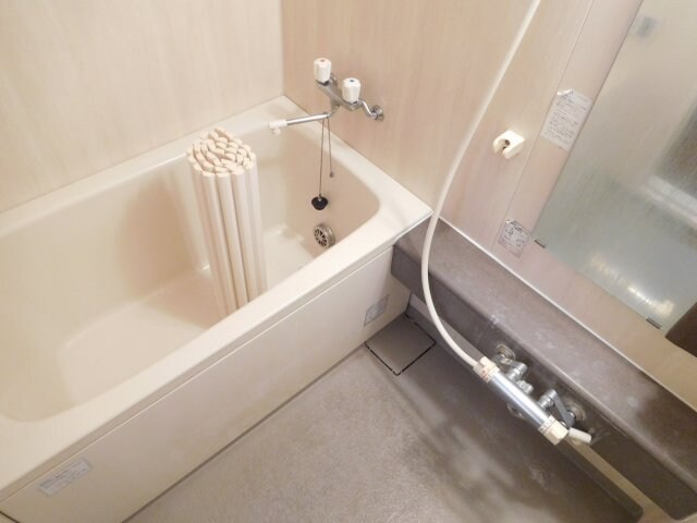 スカイパレス光が丘Ａの物件内観写真