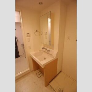 神楽坂駅 徒歩5分 8階の物件内観写真