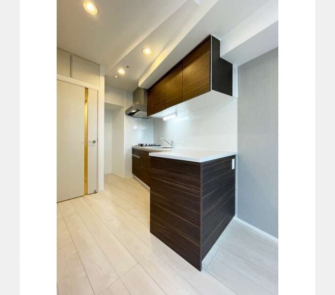 笹塚駅 徒歩8分 13階の物件内観写真