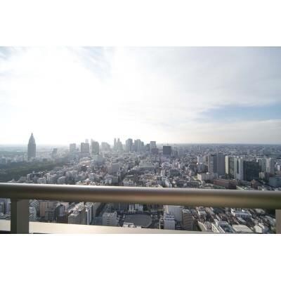 新宿三丁目駅 徒歩9分 51階の物件内観写真