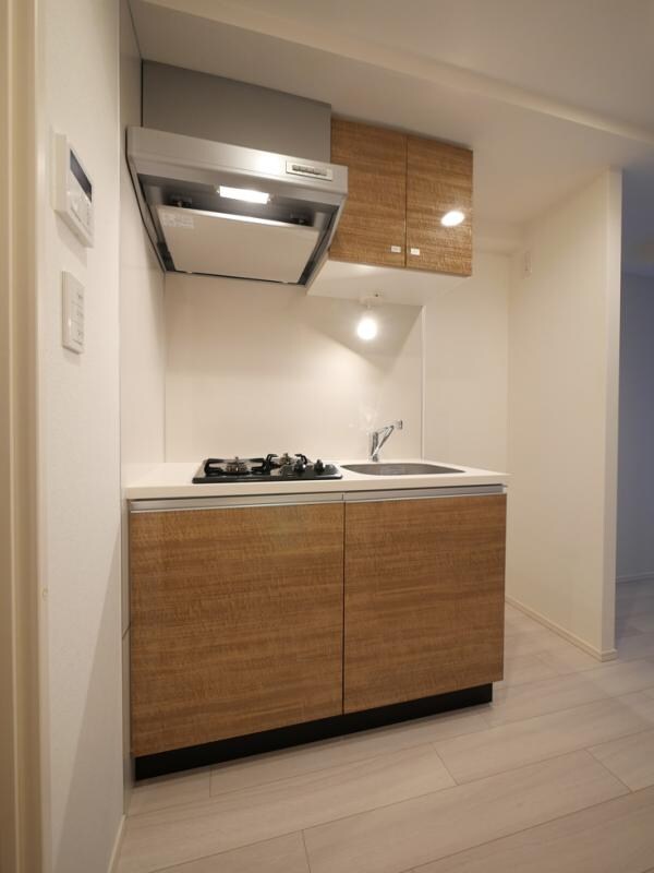 ラフィスタ錦糸町Ⅱ　の物件内観写真