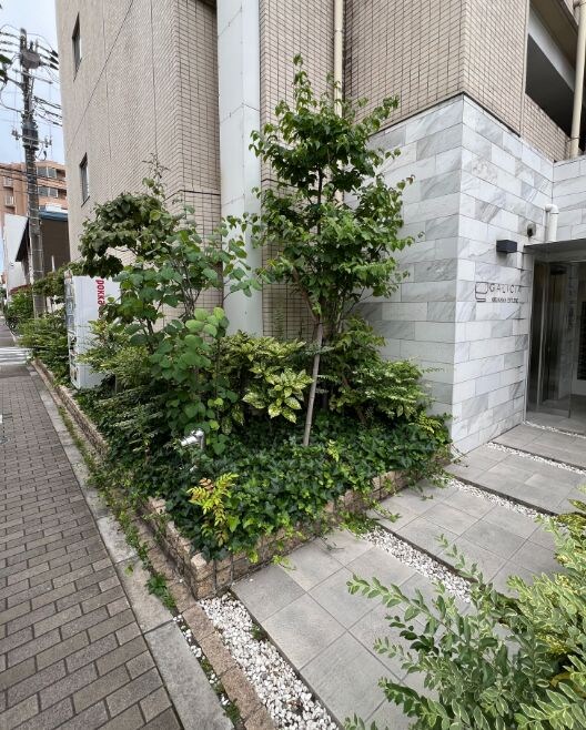 GALICIA KIKUKAWA ESTUDIOの物件内観写真