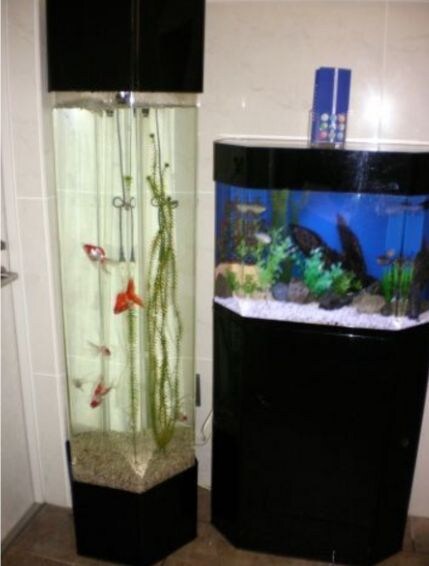 ラルジュ マノワールの物件外観写真