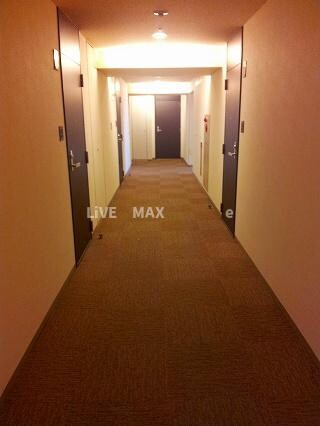 渋谷駅 徒歩11分 10階の物件内観写真