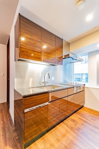 ミレアコート銀座プレミアの物件内観写真