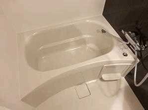 ザ・レジデンス赤坂檜町の物件内観写真