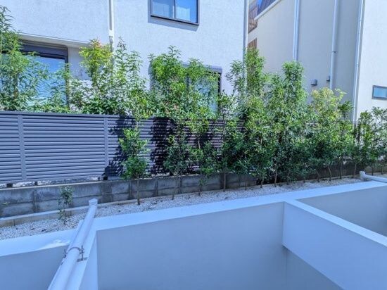 ソラシアレジデンス学芸大学Ⅱの物件内観写真