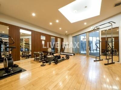 新馬場駅 徒歩9分 8階の物件内観写真