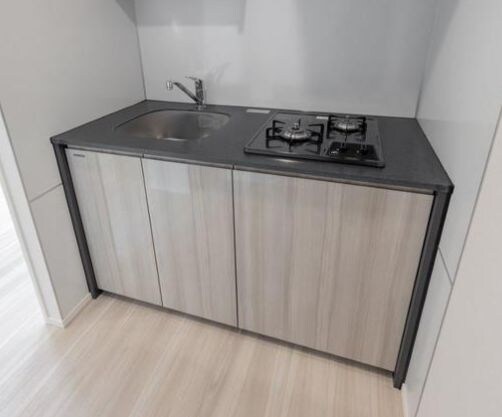 BRICK　RESIDENCE　南青山　の物件内観写真