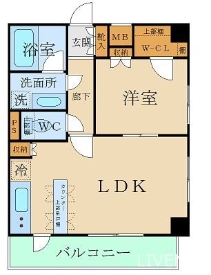 中野坂上駅 徒歩4分 5階の物件間取画像