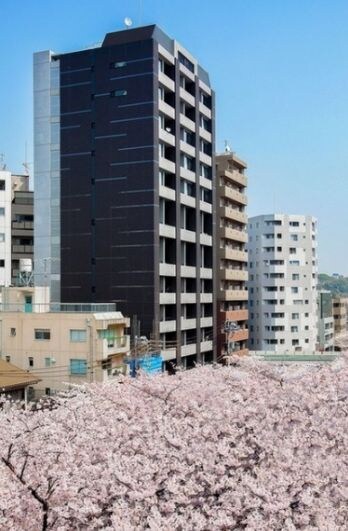 池尻大橋駅 徒歩7分の物件外観写真
