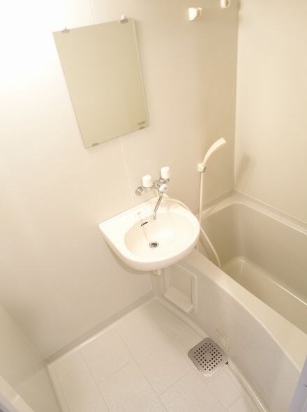 学芸大学駅 徒歩12分 8階の物件内観写真