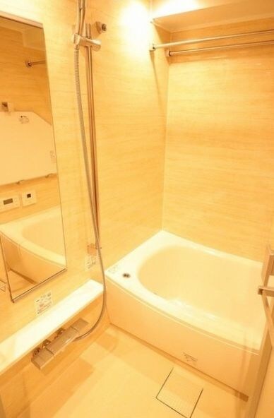 武蔵小山駅 徒歩8分 8階の物件内観写真