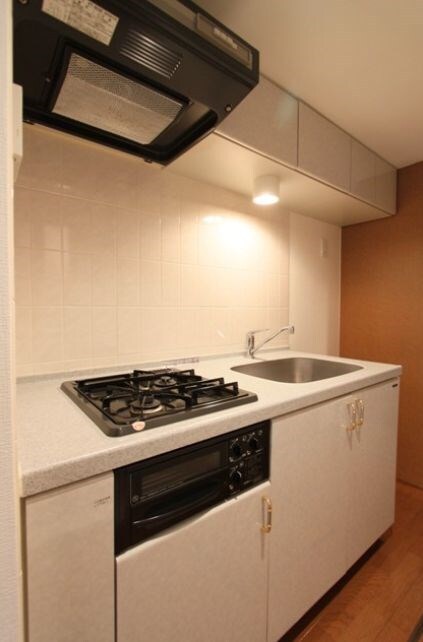 フェニックス麻布狸穴公園の物件内観写真