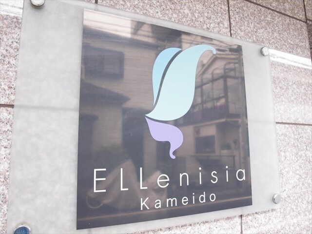 エルニシア亀戸の物件内観写真