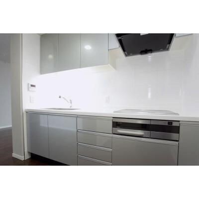 THETOKYOTOWERSMIDTOWERSの物件内観写真