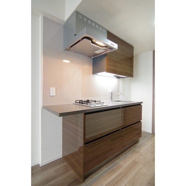 ザ・パークハビオ上野の物件内観写真