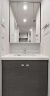 ザ・パークハビオ入谷の物件内観写真