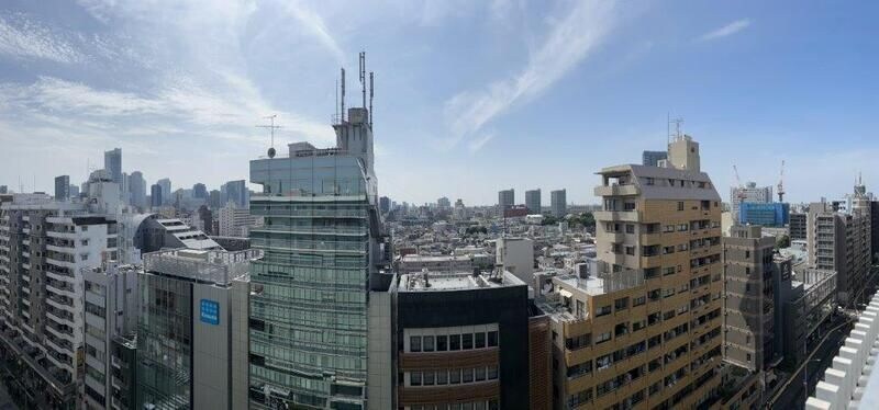 東新宿駅 徒歩3分 10階の物件内観写真