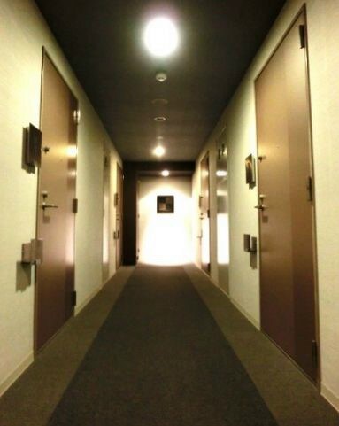 中板橋駅 徒歩19分 4階の物件外観写真