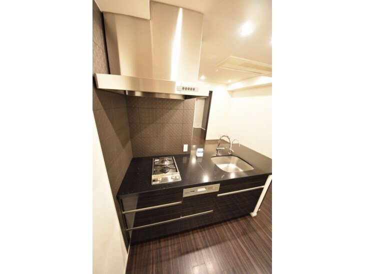 東新宿駅 徒歩5分 10階の物件内観写真