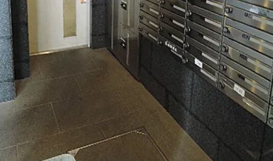 若松河田駅 徒歩6分 3階の物件内観写真