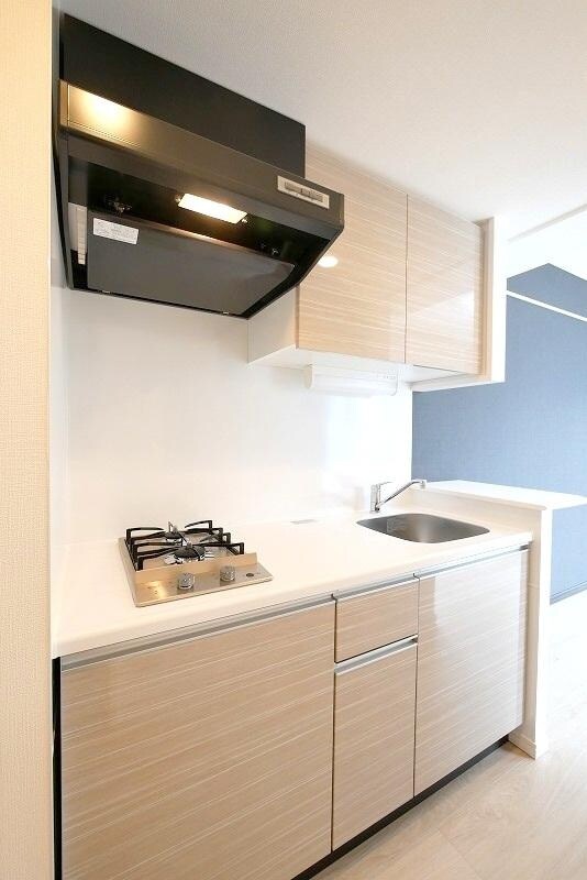 ラフィスタ志村坂上Ⅱの物件内観写真