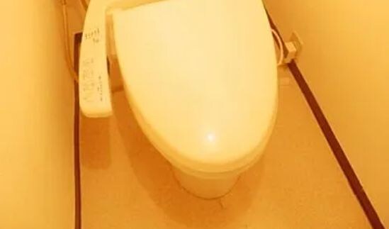 ニューハイツ中落合の物件内観写真