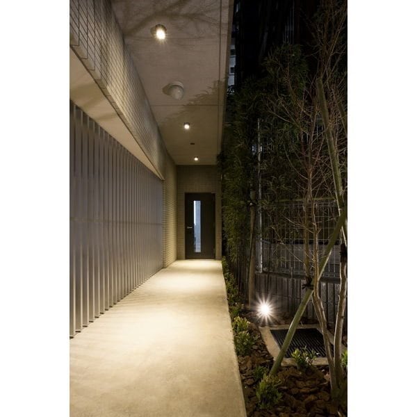 飯田橋駅 徒歩6分 11階の物件外観写真