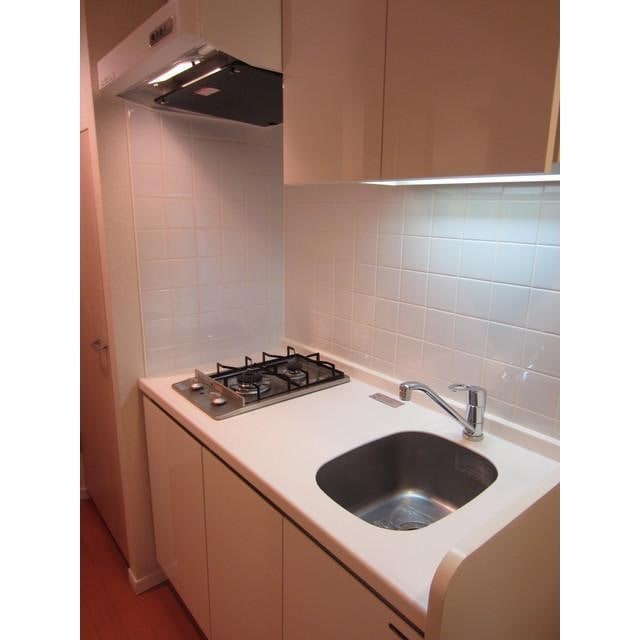 江戸川橋駅 徒歩4分 10階の物件内観写真