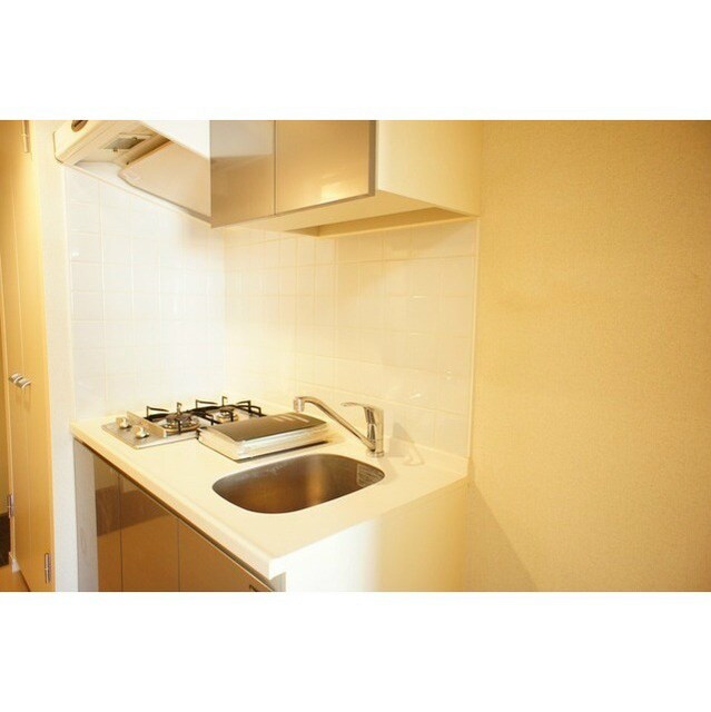 江戸川橋駅 徒歩4分 10階の物件内観写真